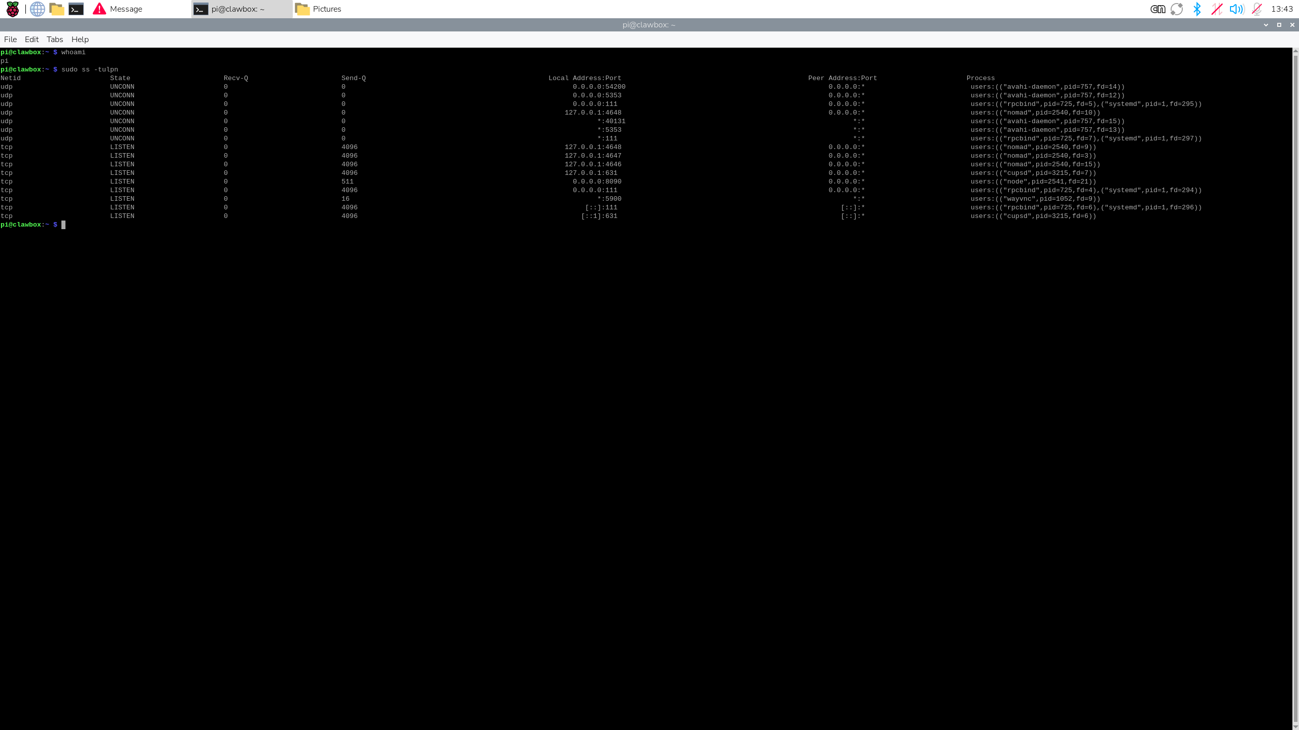 Terminal showing the network ports and processes listening on the ED-CLAWBOX factory image